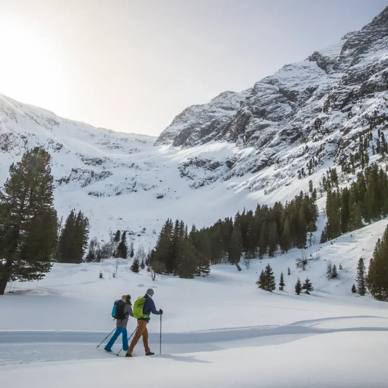 Zwei Personen laufen mit Wanderstöcken durch eine verschneite Berglandschaft mit Tannen und Sonne.
